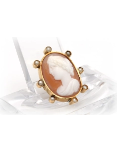 Broche Art Déco en or jaune 18 carats sertie d'un camée coquillage et de perles - - 5